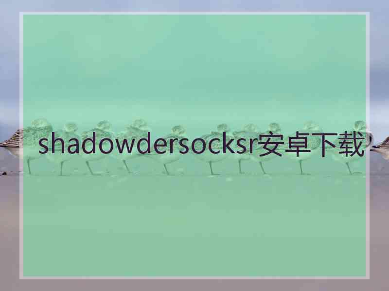 shadowdersocksr安卓下载