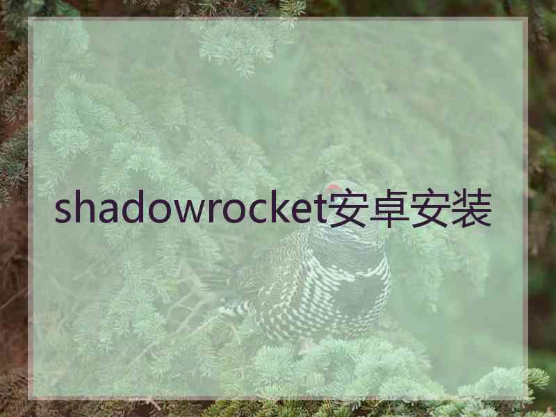 shadowrocket安卓安装