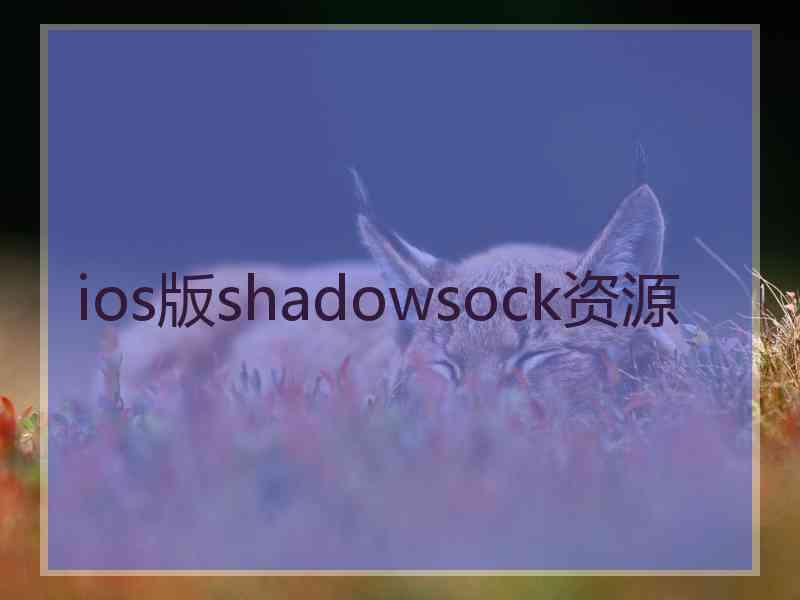 ios版shadowsock资源
