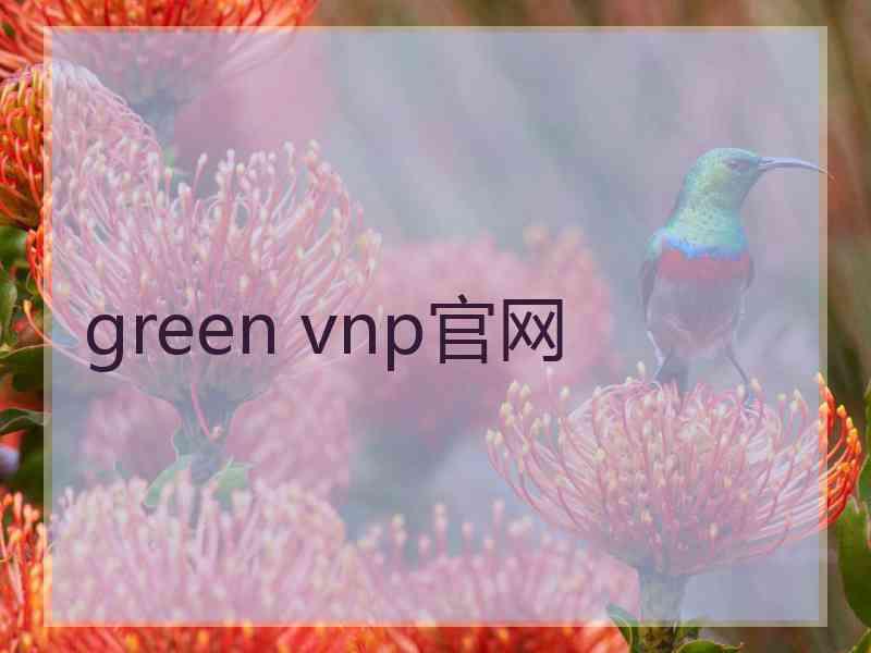 green vnp官网