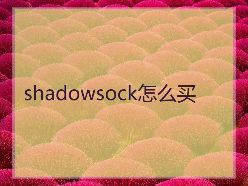 shadowsock怎么买