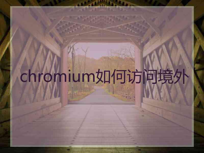 chromium如何访问境外