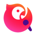 国内下载google上的app