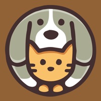 黑洞vp加速器免费ios
