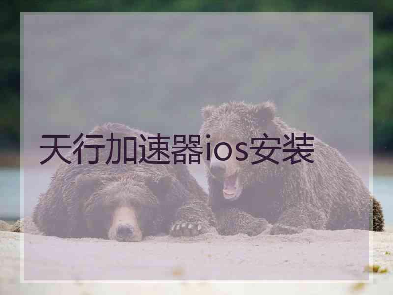 天行加速器ios安装