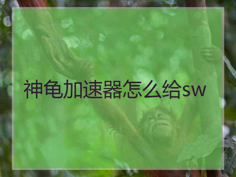 神龟加速器怎么给sw