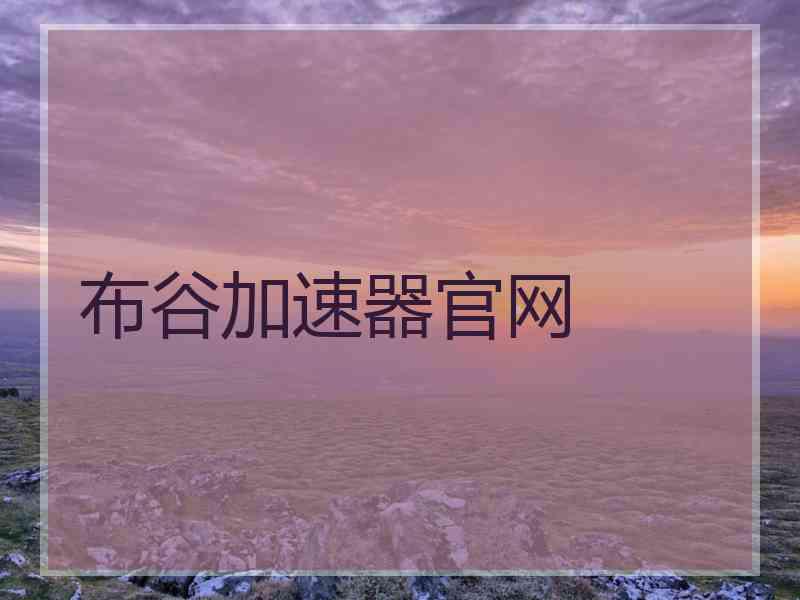 布谷加速器官网