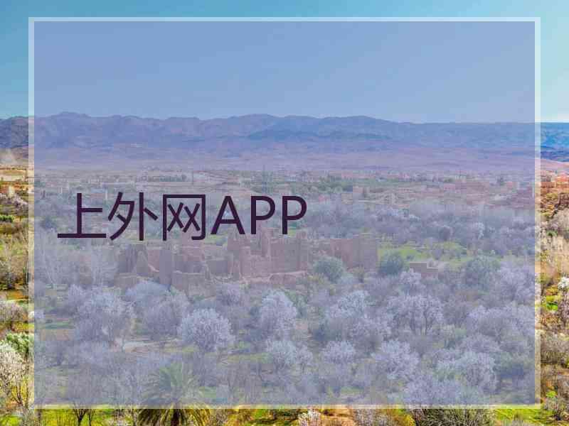 上外网APP