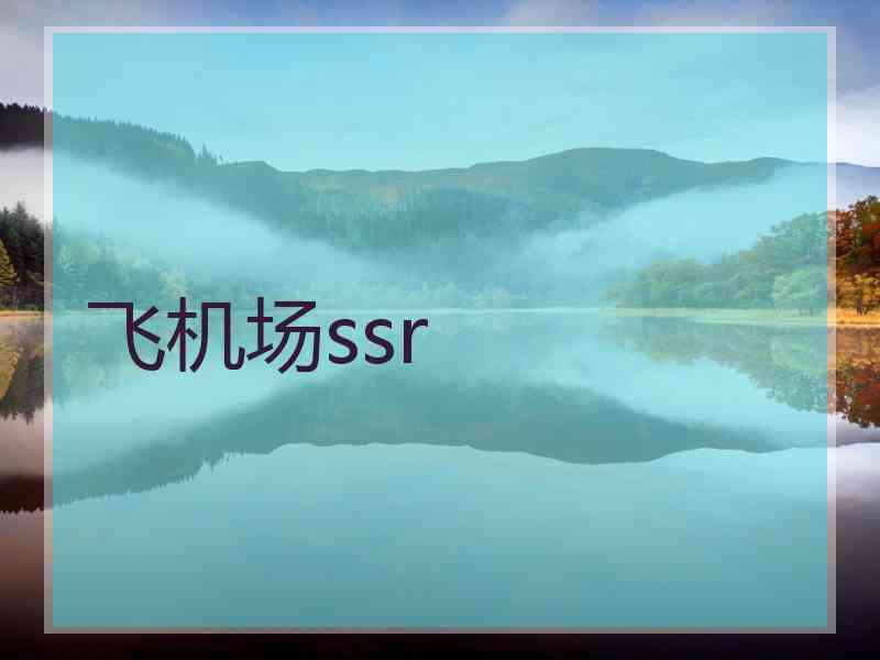 飞机场ssr