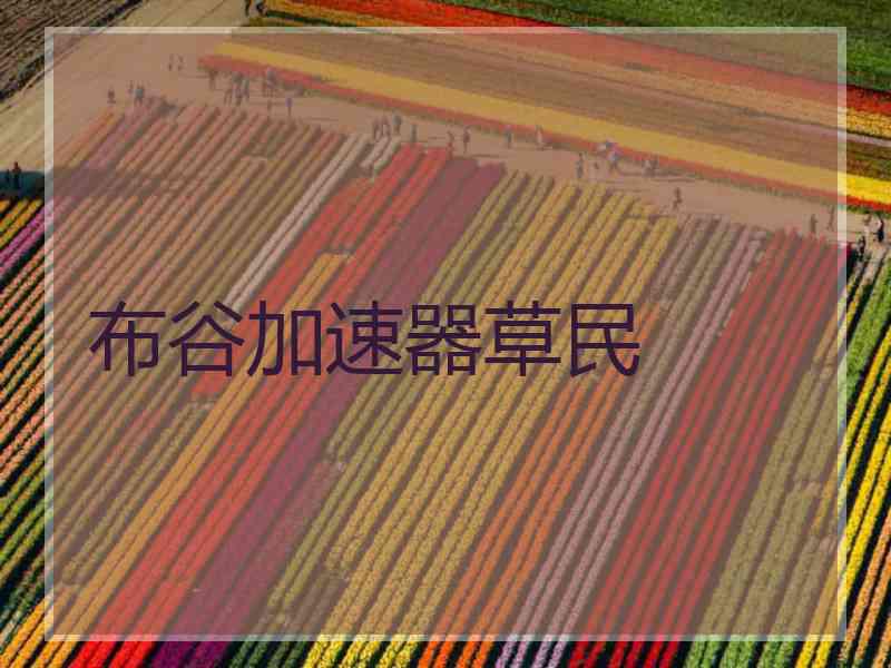 布谷加速器草民