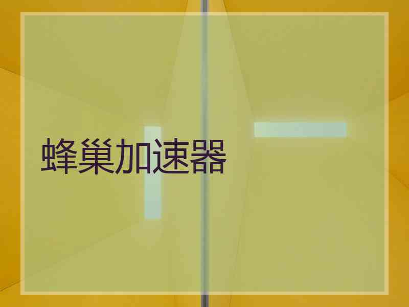 蜂巢加速器