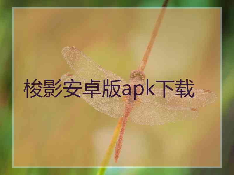 梭影安卓版apk下载