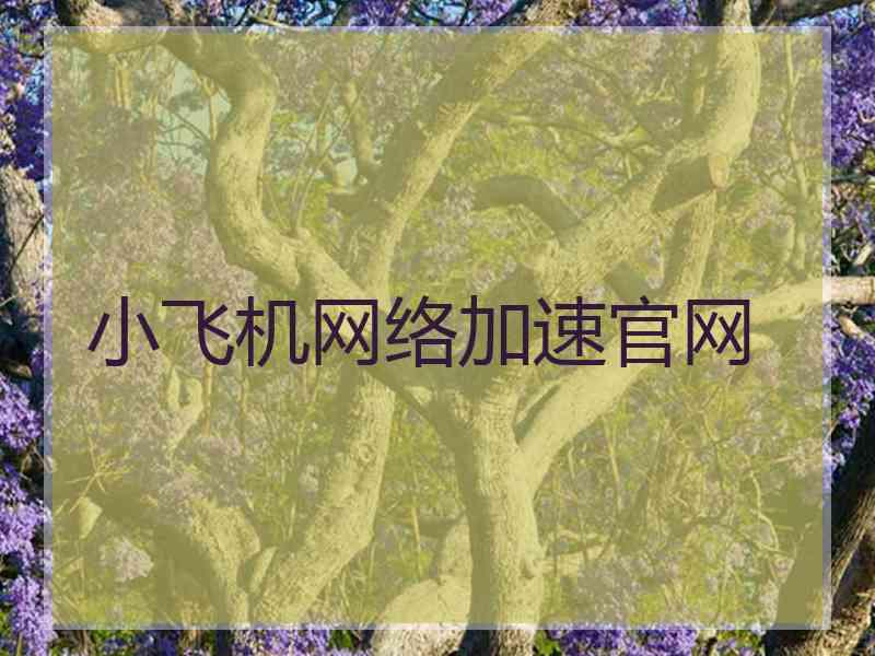 小飞机网络加速官网