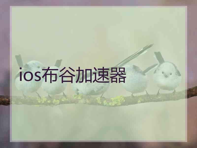 ios布谷加速器