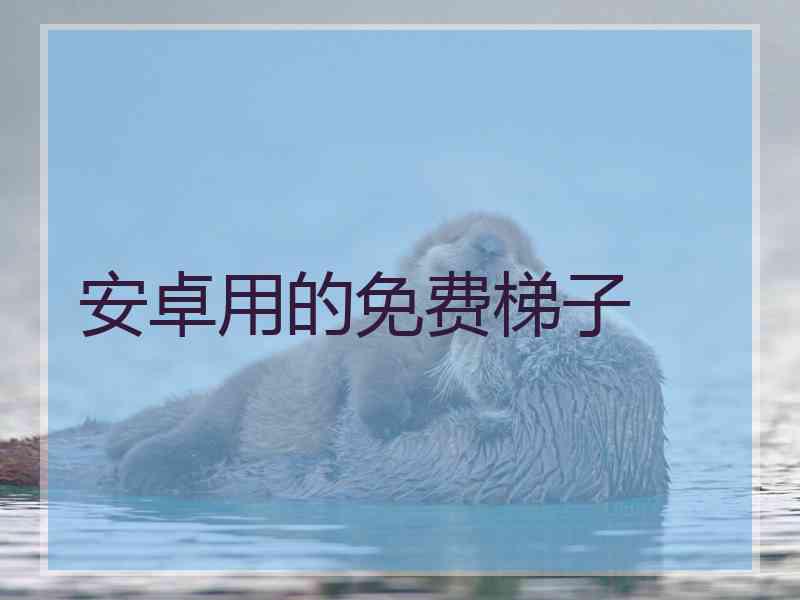 安卓用的免费梯子