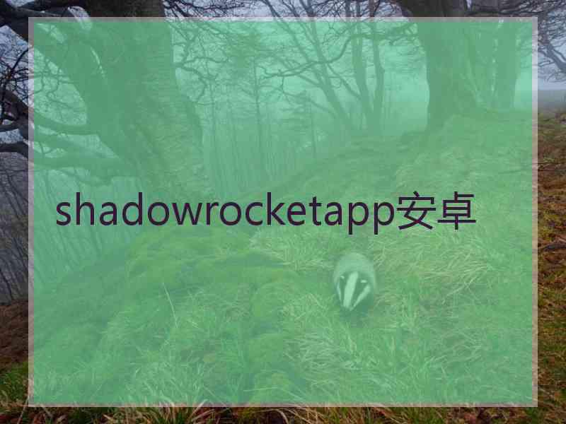 shadowrocketapp安卓