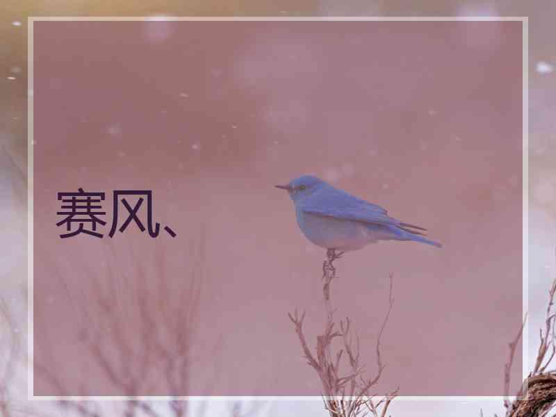 赛风、