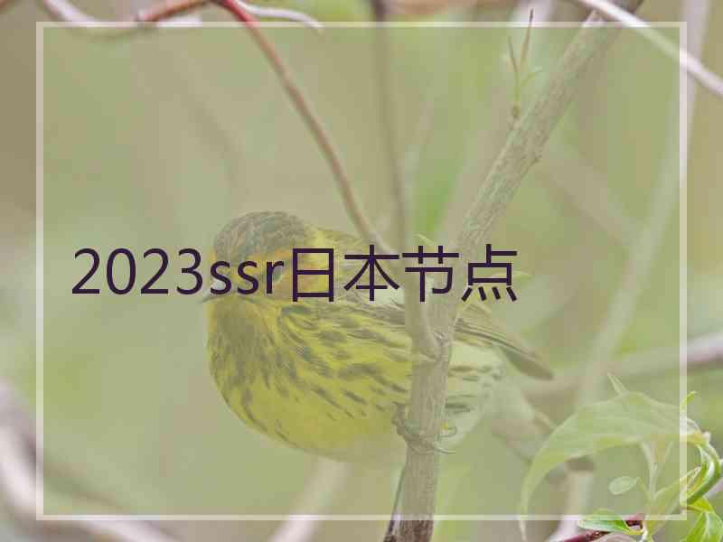 2023ssr日本节点