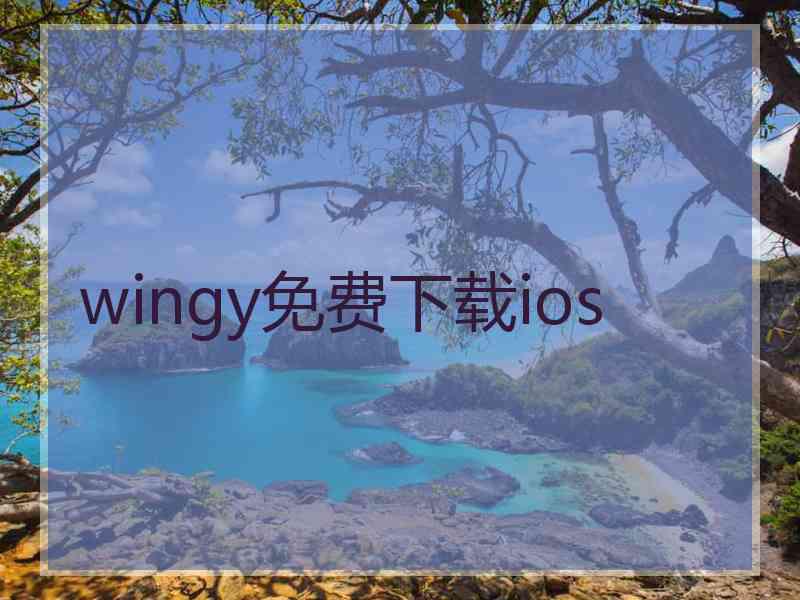 wingy免费下载ios