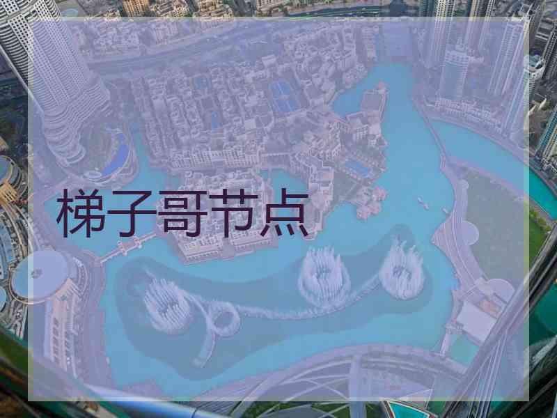 梯子哥节点