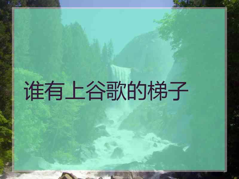 谁有上谷歌的梯子