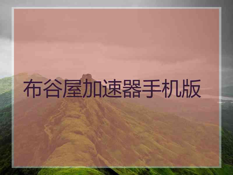 布谷屋加速器手机版
