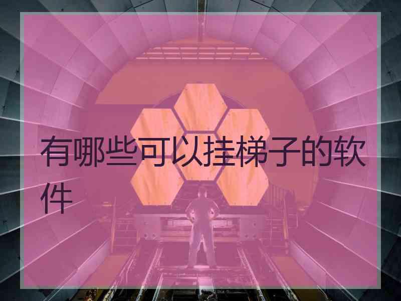 有哪些可以挂梯子的软件
