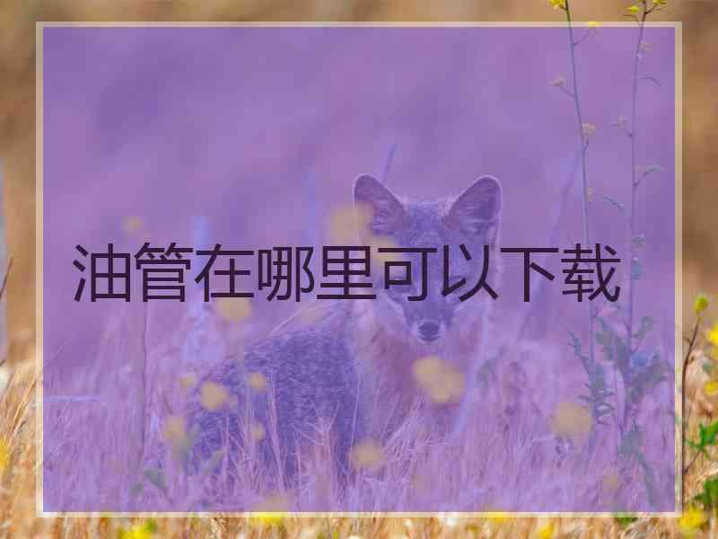 油管在哪里可以下载