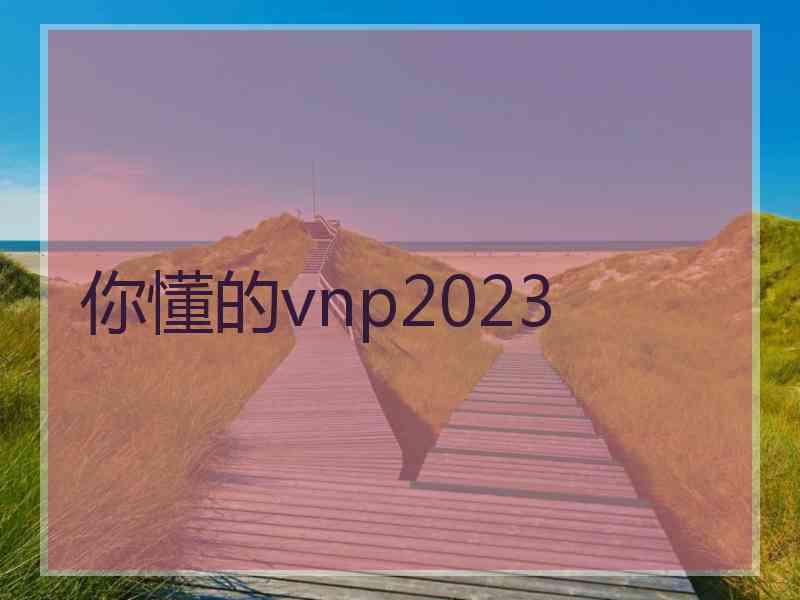 你懂的vnp2023