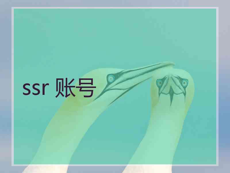 ssr 账号