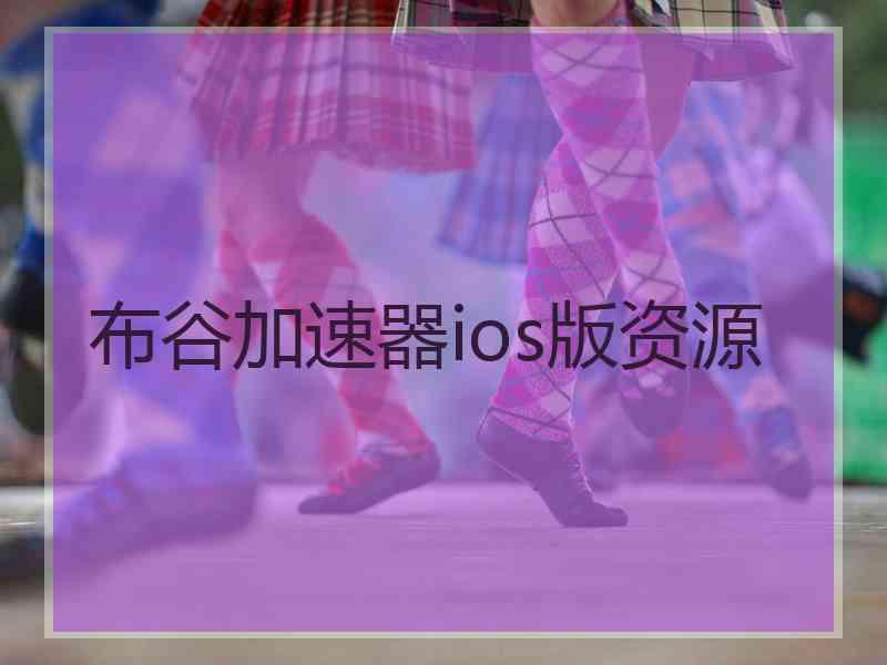 布谷加速器ios版资源