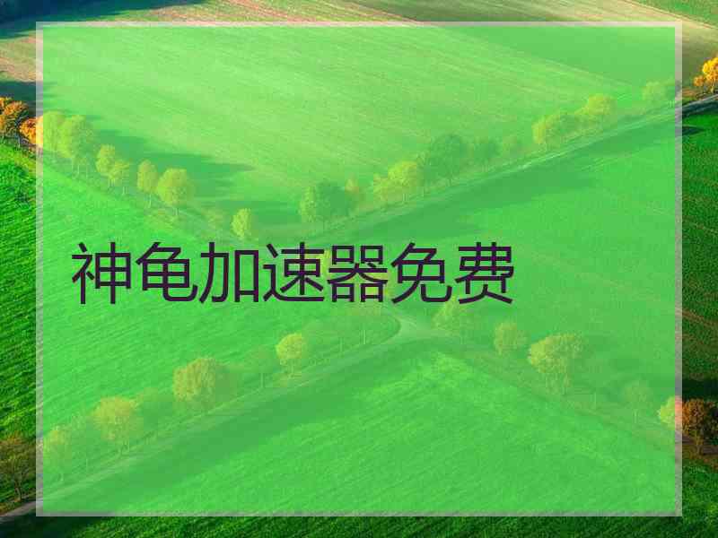 神龟加速器免费