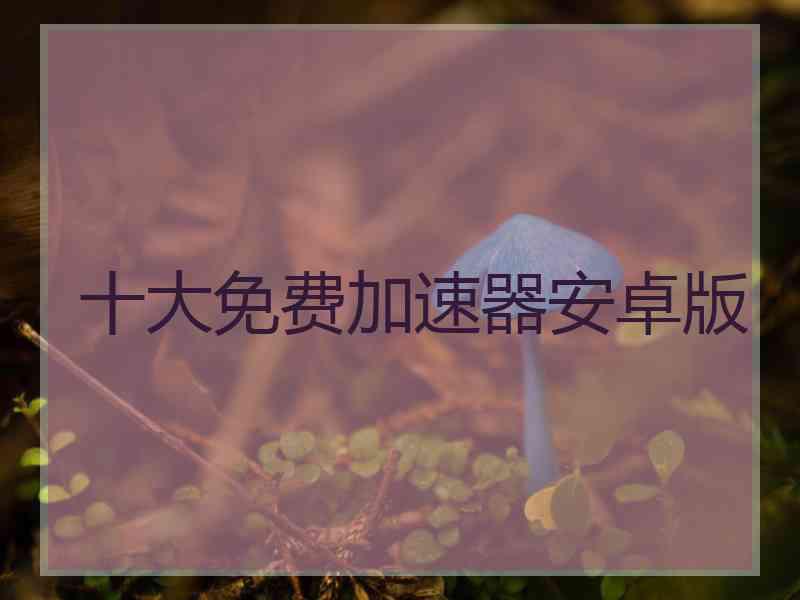 十大免费加速器安卓版
