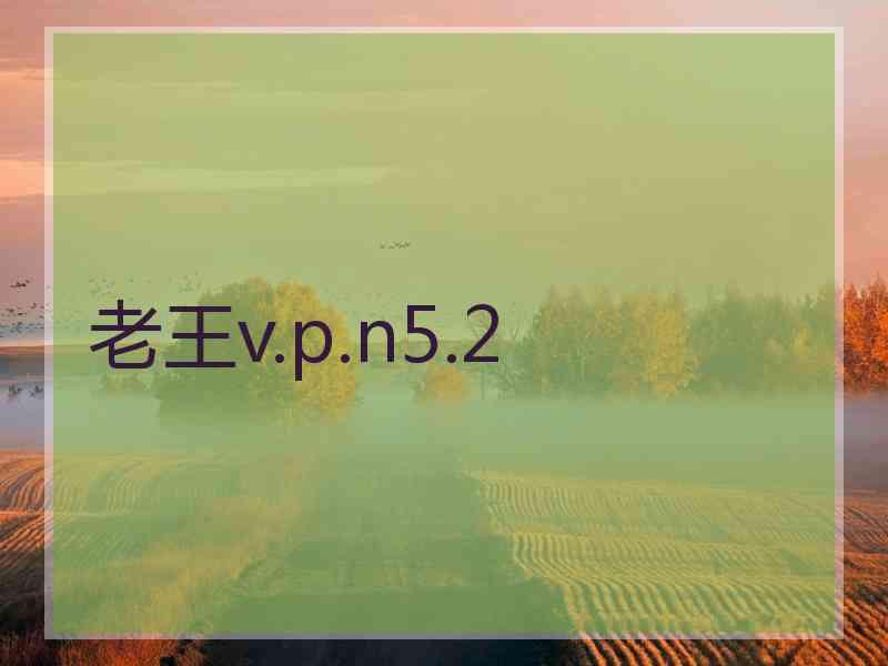 老王v.p.n5.2