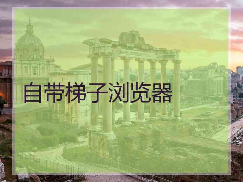自带梯子浏览器