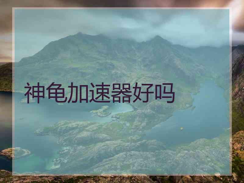 神龟加速器好吗