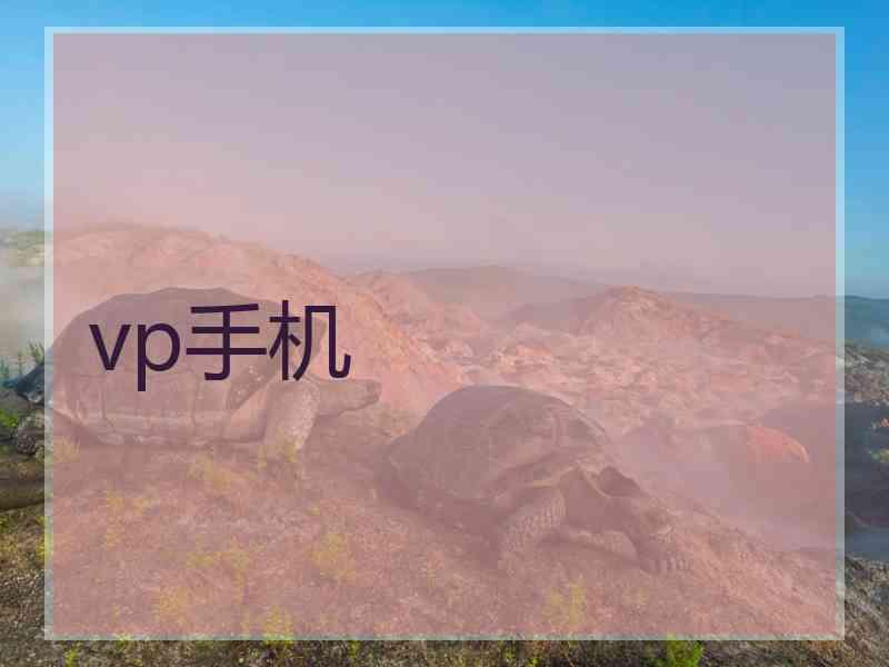 vp手机