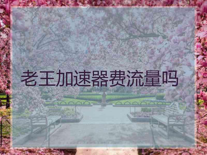 老王加速器费流量吗