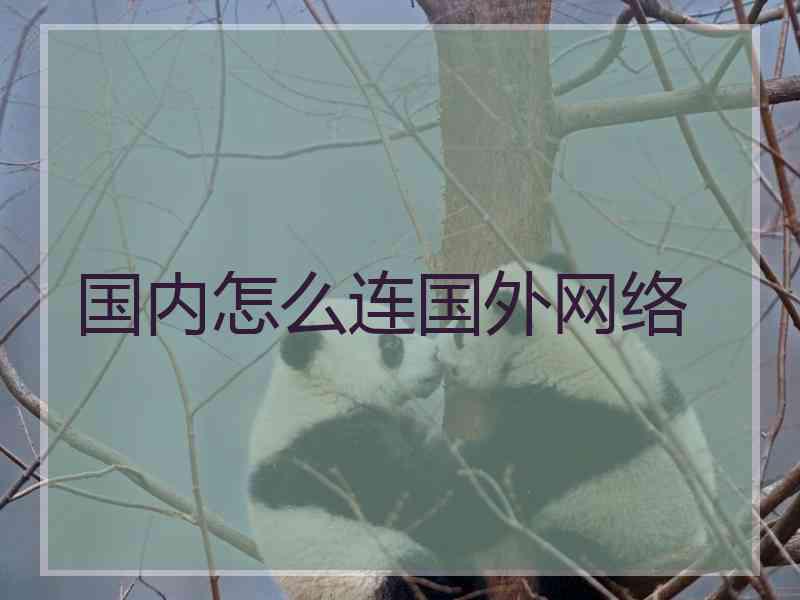 国内怎么连国外网络