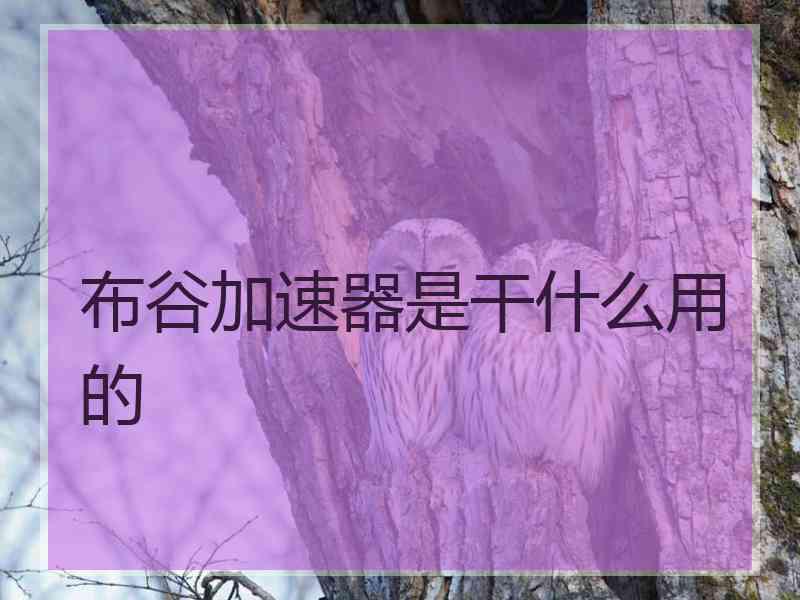 布谷加速器是干什么用的