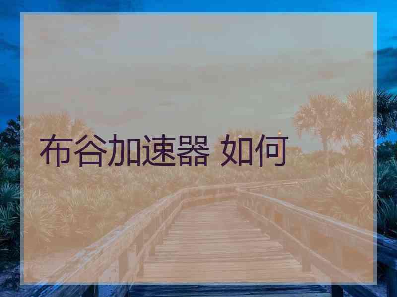 布谷加速器 如何