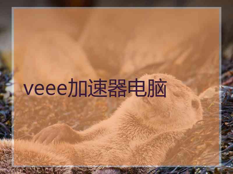 veee加速器电脑