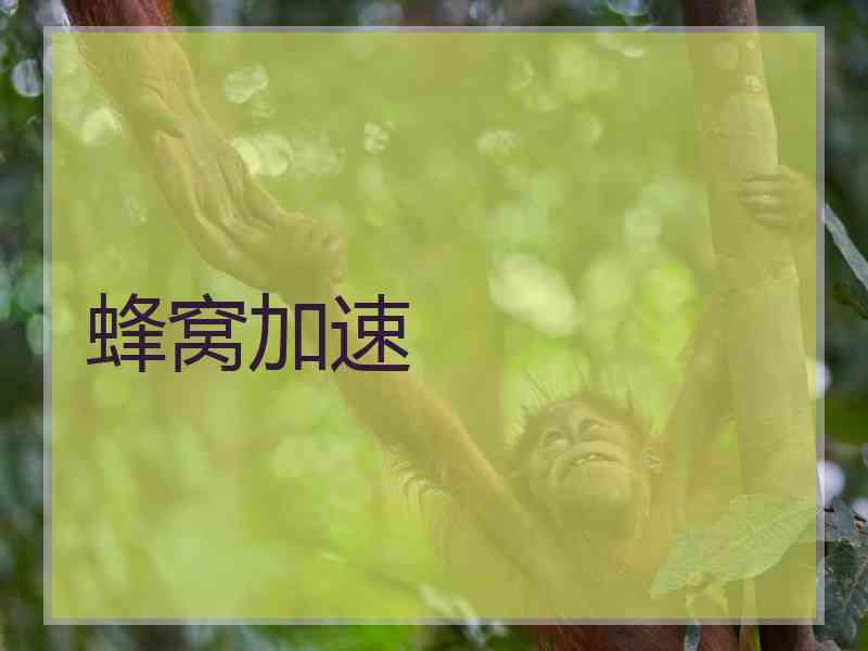 蜂窝加速