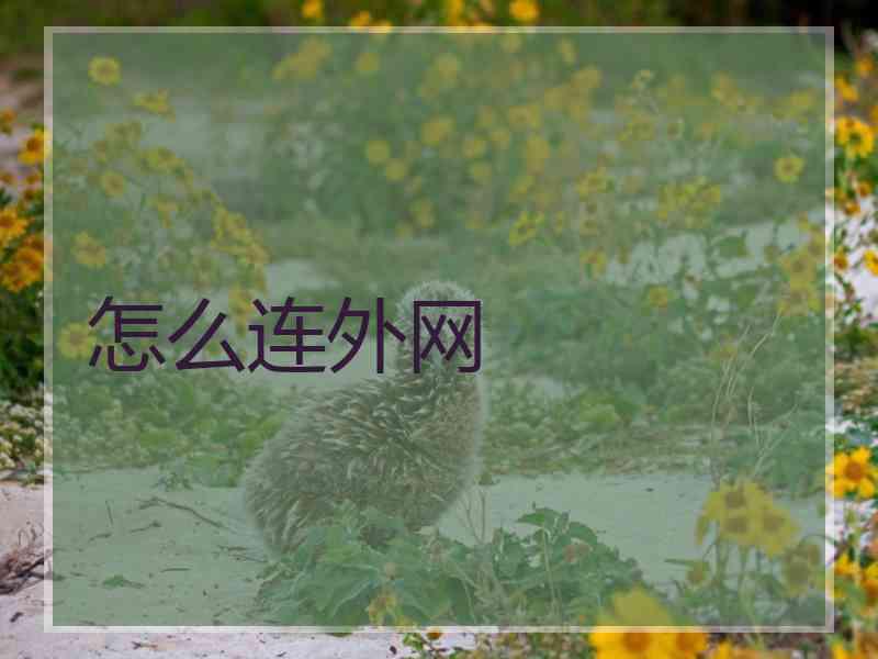 怎么连外网