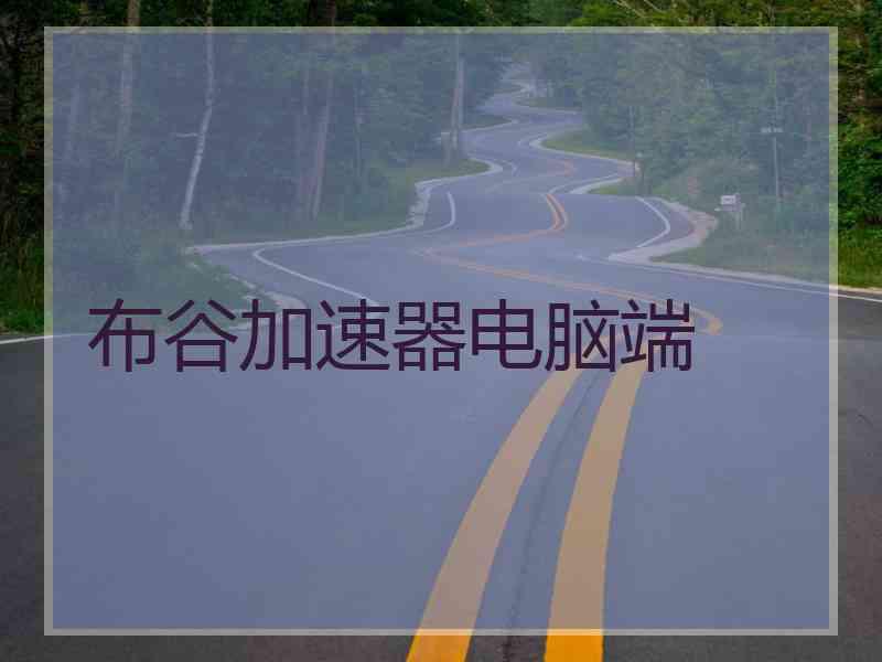 布谷加速器电脑端