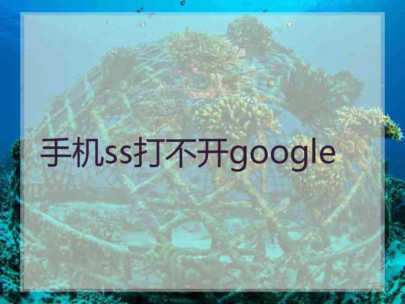 手机ss打不开google