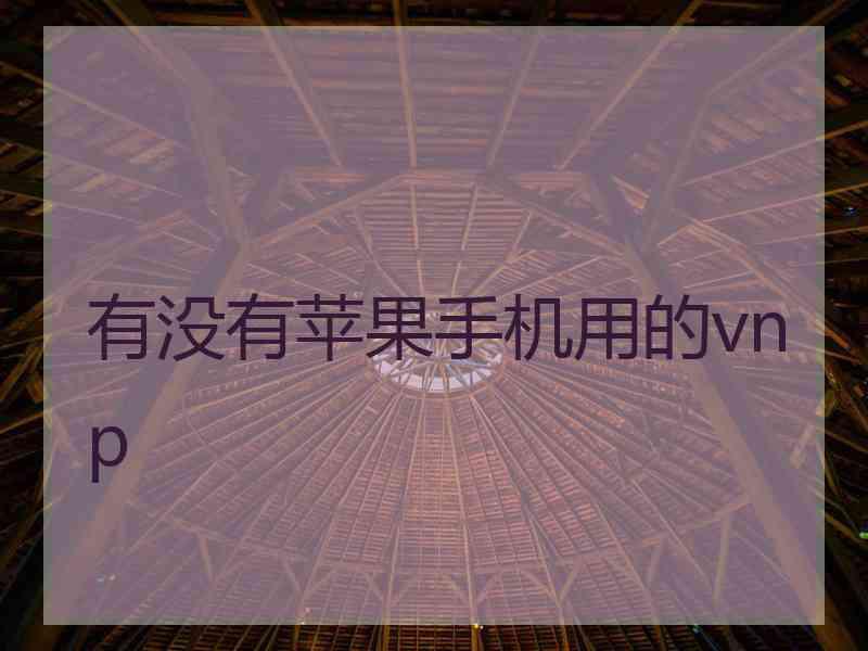 有没有苹果手机用的vnp