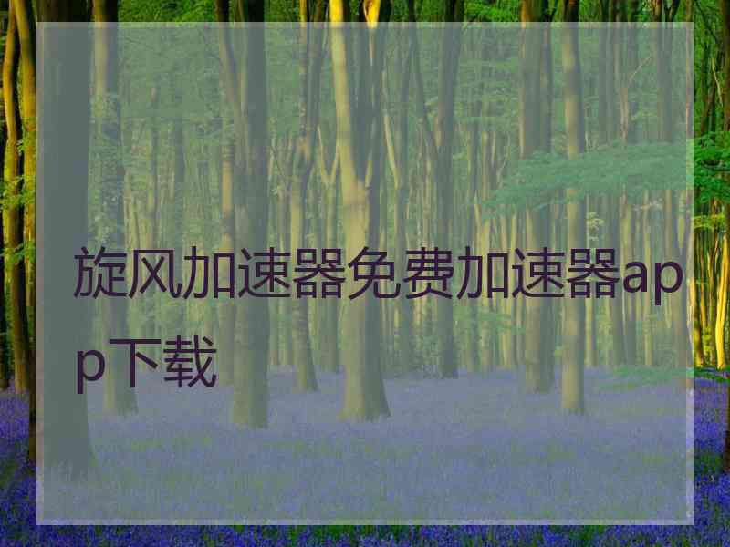 旋风加速器免费加速器app下载