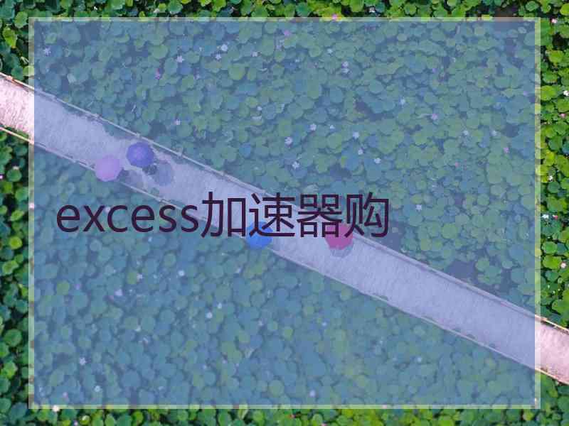 excess加速器购