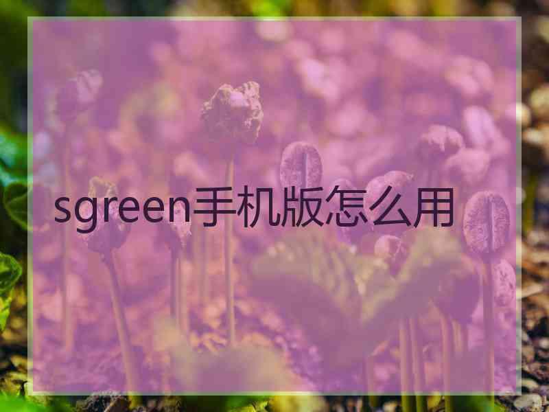 sgreen手机版怎么用